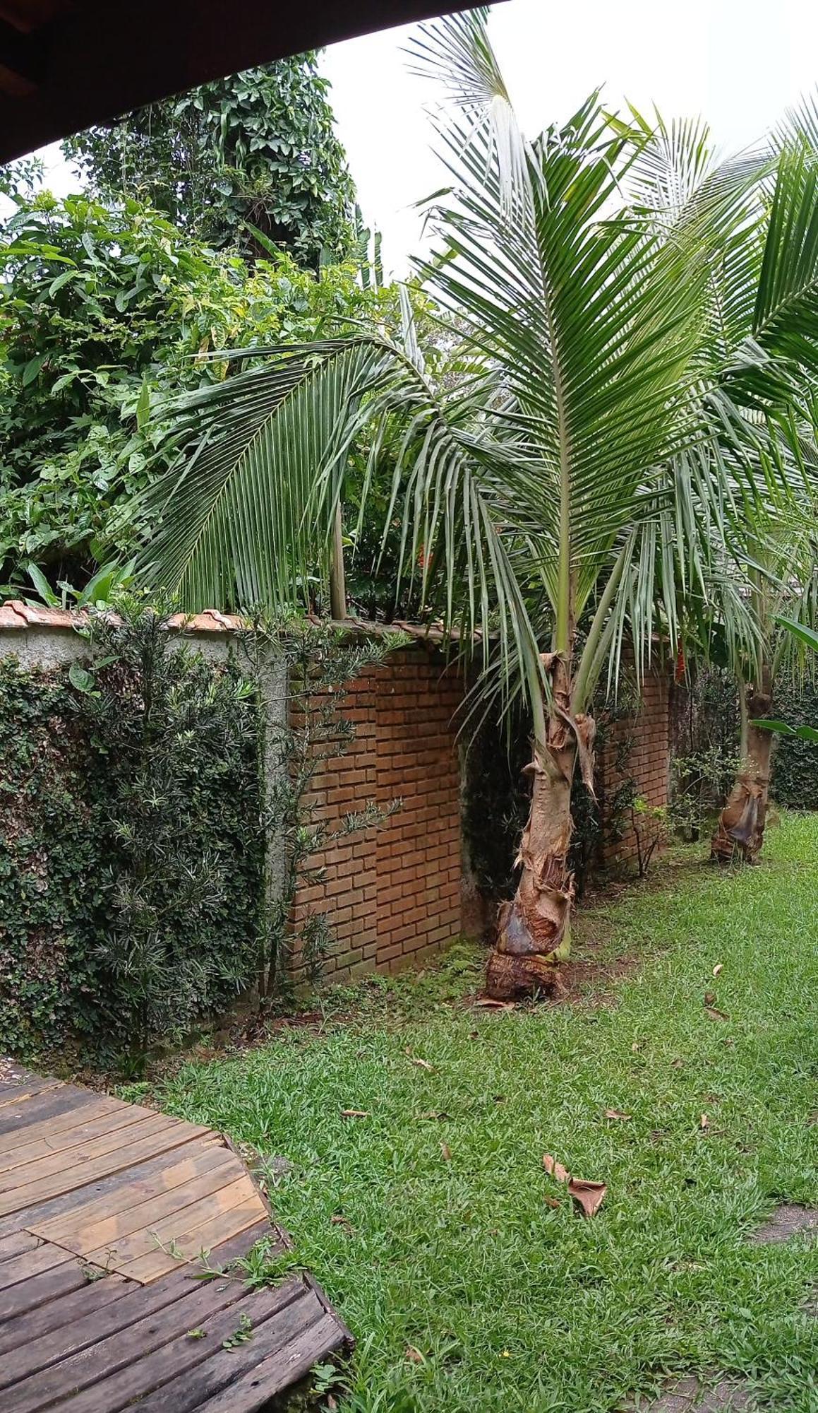 Casa Dos Coqueiros Praia De Camburi, Condominio Camburi  Exterior photo